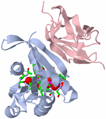 Image Biol. Unit 1 - sites