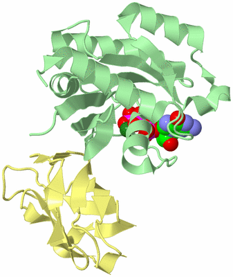 Image Biological Unit 2