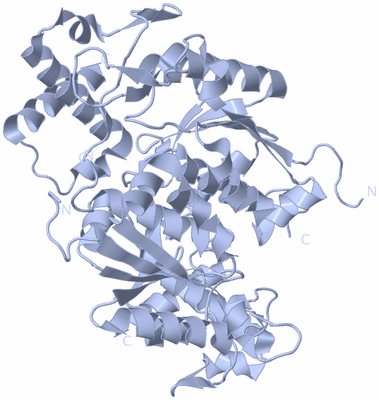 Image Biological Unit 1