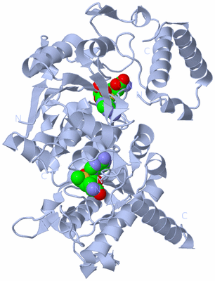 Image Biological Unit 1