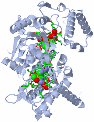 Image Biol. Unit 1 - sites