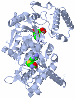 Image Biological Unit 1