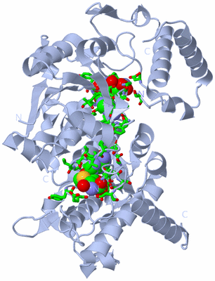 Image Biol. Unit 1 - sites