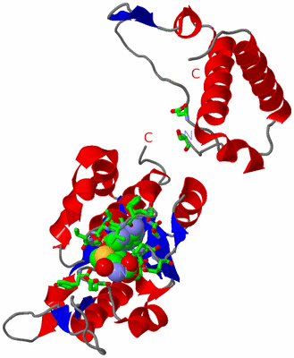 Image Asym. Unit - sites