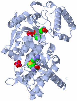 Image Biological Unit 1