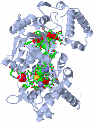 Image Biol. Unit 1 - sites