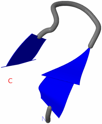 Image NMR Structure - model 1