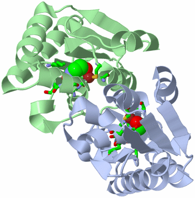 Image Asym./Biol. Unit - sites