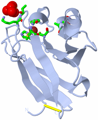 Image Biol. Unit 1 - sites