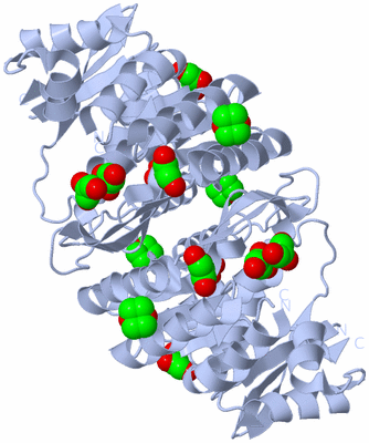 Image Biological Unit 1