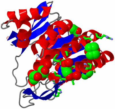 Image Asym. Unit - sites