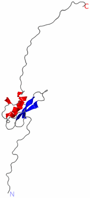 Image NMR Structure - model 1