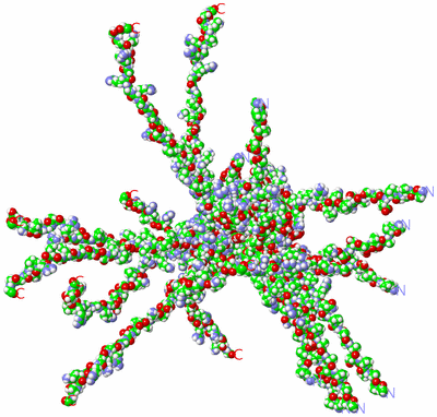 Image NMR Structure - all models