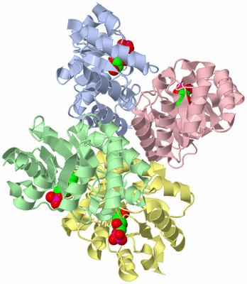 Image Asym./Biol. Unit