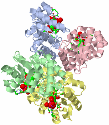 Image Asym./Biol. Unit - sites