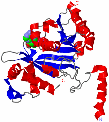 Image Asym./Biol. Unit