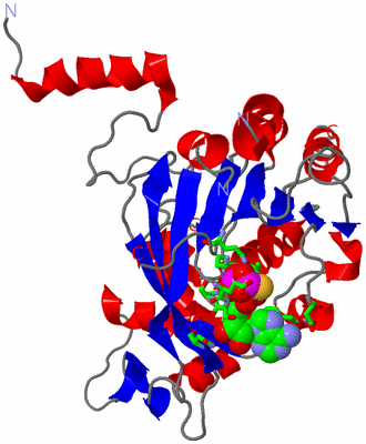 Image Asym./Biol. Unit - sites