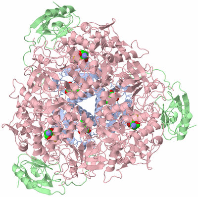 Image Biological Unit 1