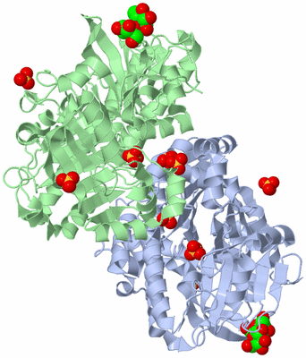 Image Asym./Biol. Unit