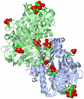 Image Asym./Biol. Unit - sites