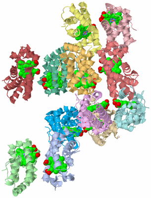 Image Asymmetric Unit