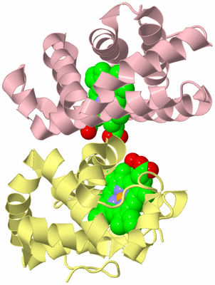 Image Biological Unit 2