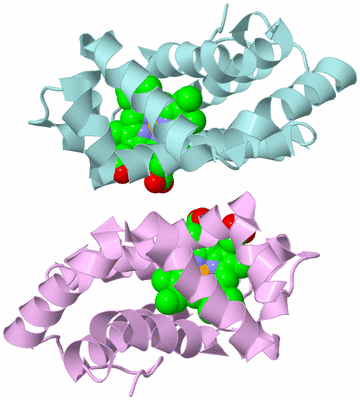 Image Biological Unit 3