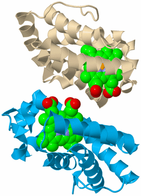 Image Biological Unit 5