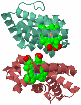 Image Biological Unit 6