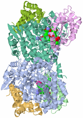 Image Asym./Biol. Unit