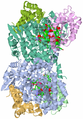 Image Asym./Biol. Unit - sites