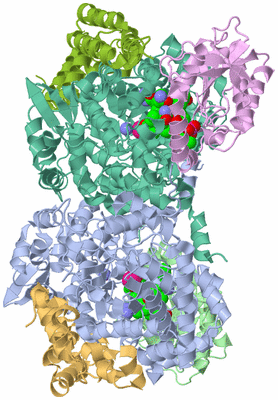 Image Asym./Biol. Unit