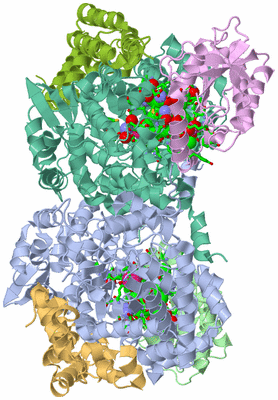 Image Asym./Biol. Unit - sites