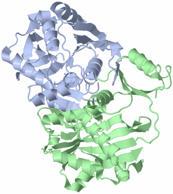 Image Asym./Biol. Unit
