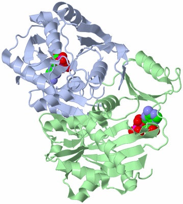 Image Asym./Biol. Unit