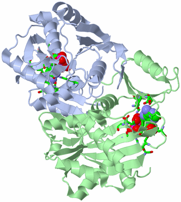 Image Asym./Biol. Unit - sites