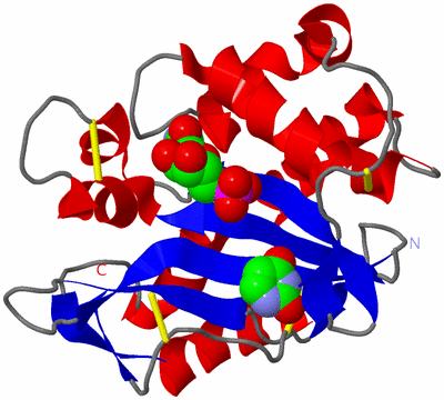 Image Asym./Biol. Unit