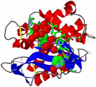 Image Asym./Biol. Unit - sites