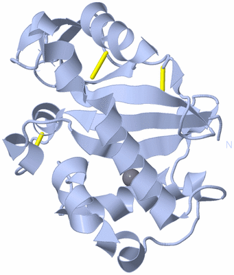 Image Biological Unit 1