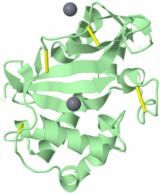 Image Biological Unit 2