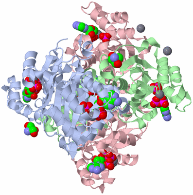 Image Biological Unit 1