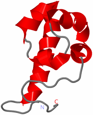 Image NMR Structure - model 1