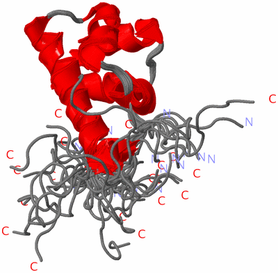 Image NMR Structure - all models