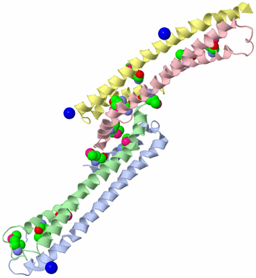 Image Biological Unit 3