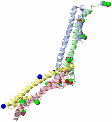 Image Biological Unit 4