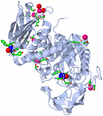 Image Biol. Unit 1 - sites