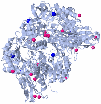 Image Biological Unit 2