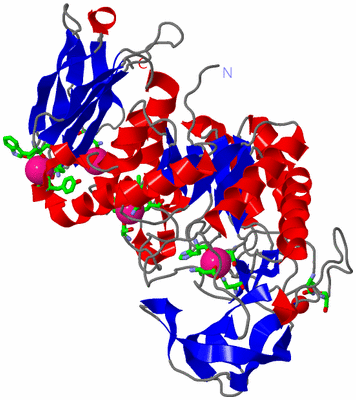 Image Asym./Biol. Unit - sites