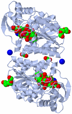 Image Biological Unit 1