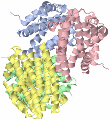 Image Asym./Biol. Unit